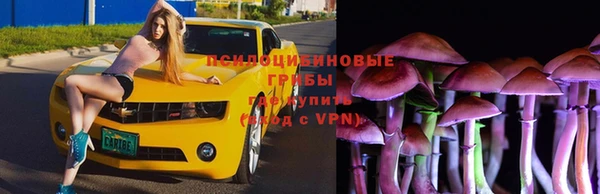 мяу мяу кристалл Богданович