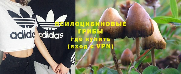 мяу мяу кристалл Богданович